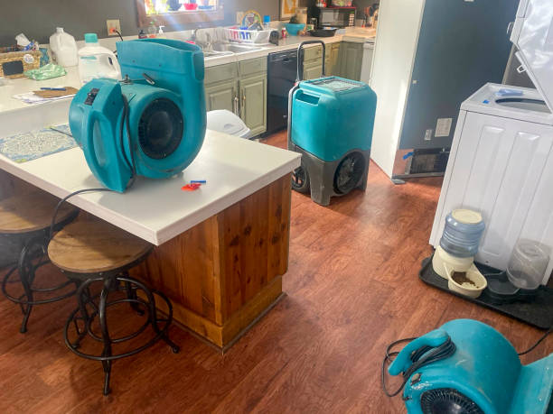 Best Water damage cleanup near me  in Bellville, OH