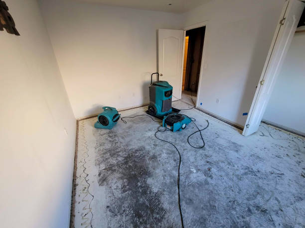 Best Sewage cleanup and water damage restoration  in Bellville, OH