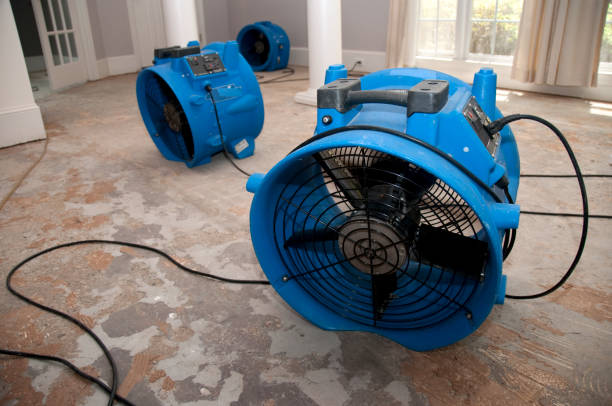 Best 24-hour water damage restoration  in Bellville, OH